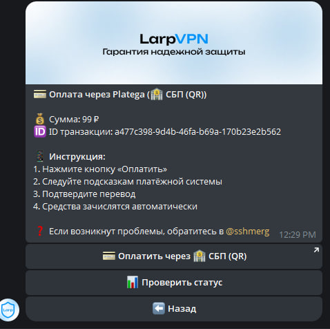 Процесс оплаты